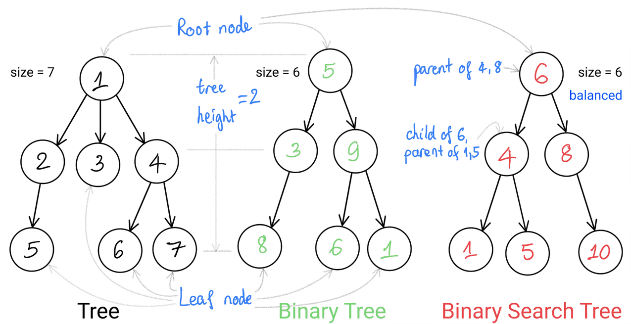 Tree data structure part 1/5: Tree and Binary Tree | SESV Tutorial